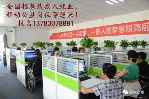 數字賦能，共創(chuàng)未來 電子商務為殘疾人群體帶來的新機遇與信息咨詢服務支持